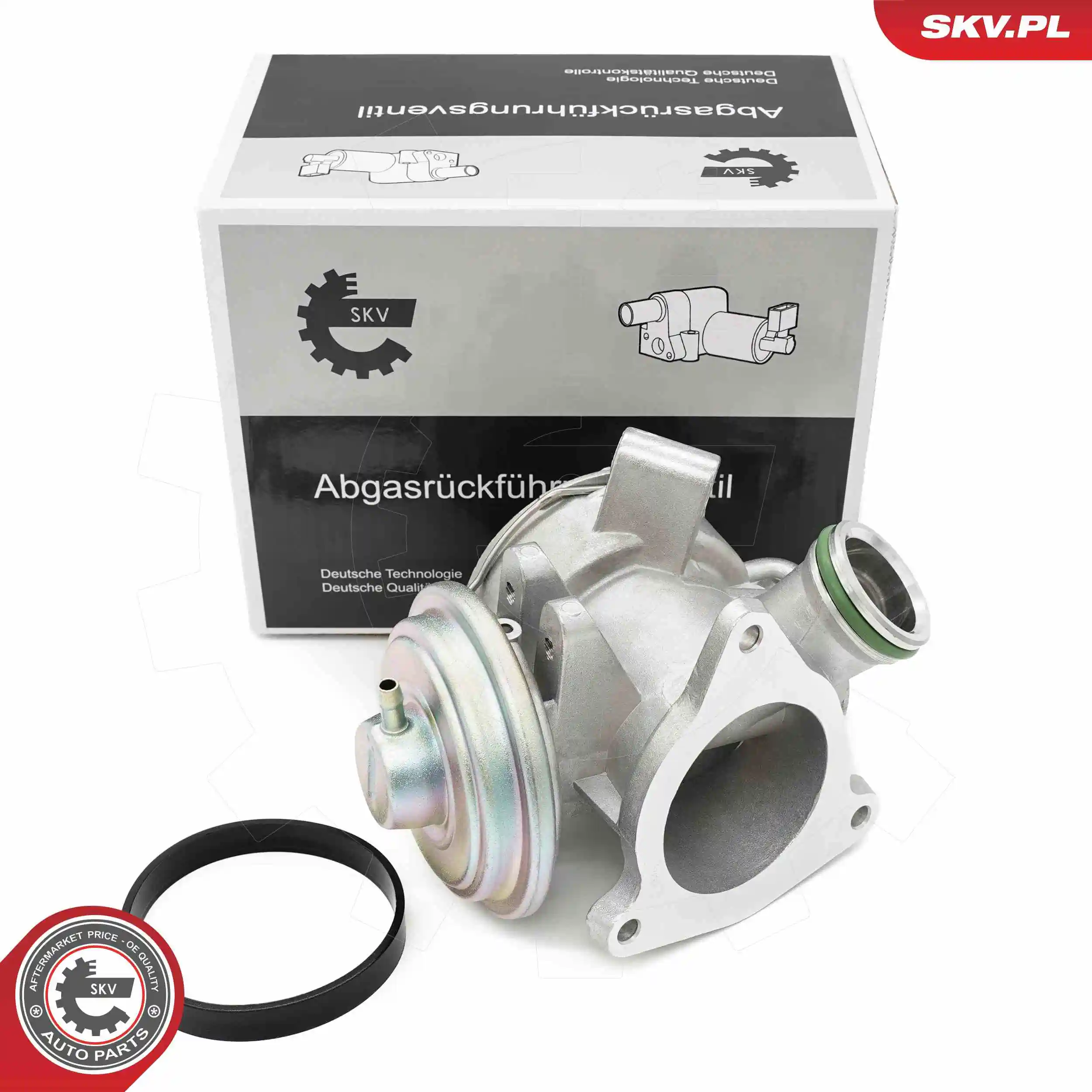 EGR Valve